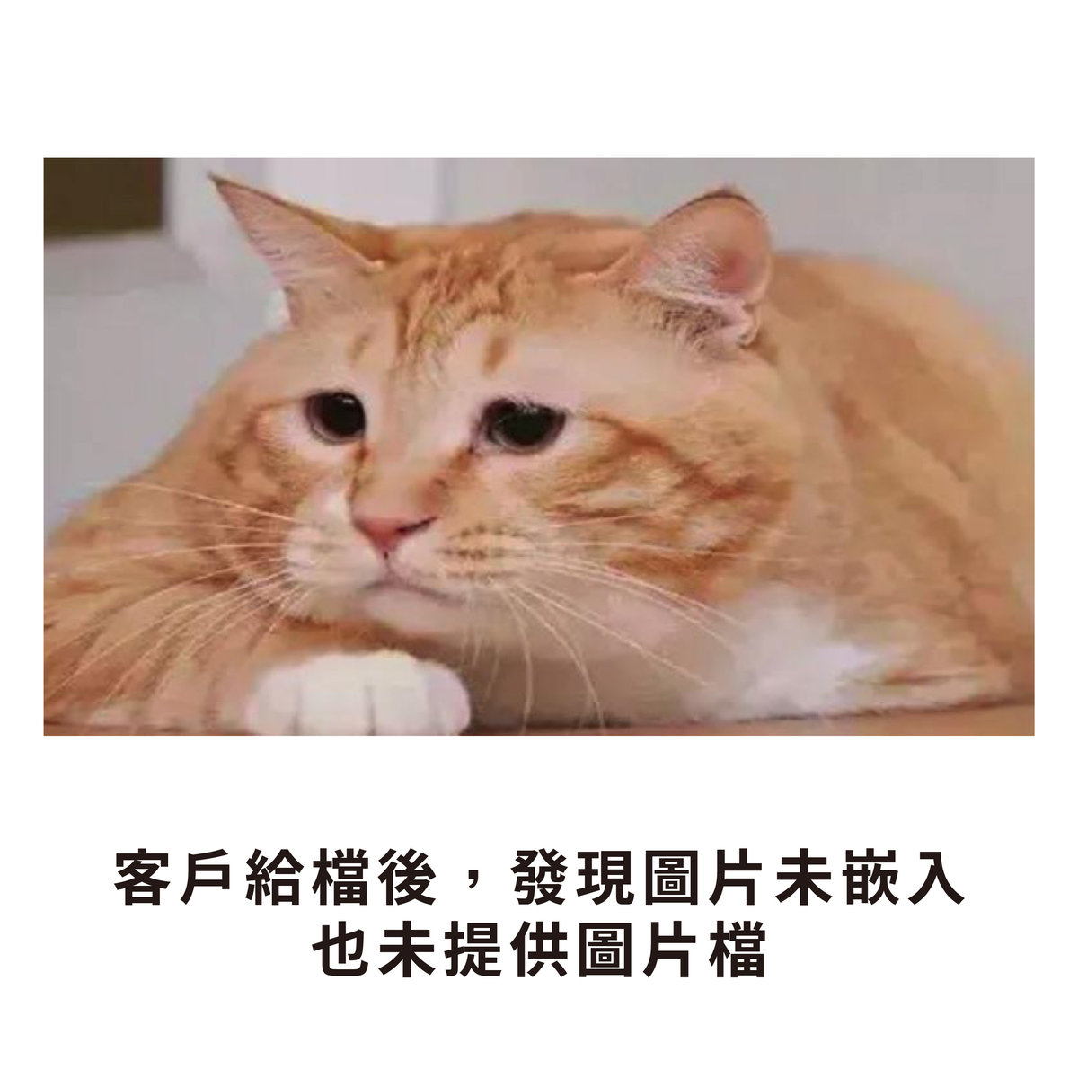 【NG特輯】如何一秒惹怒印前人員?-圖片未嵌入