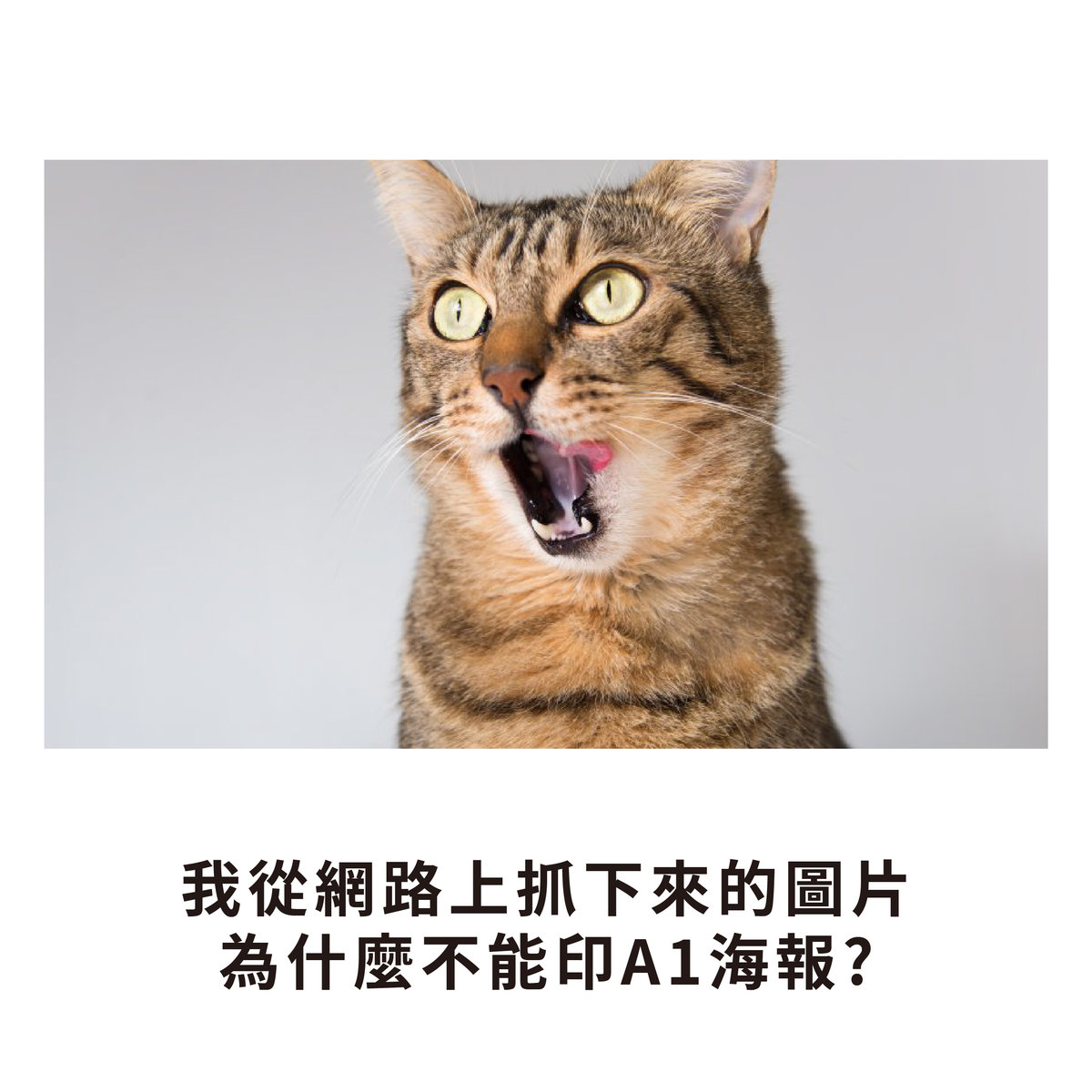 【NG特輯】如何一秒惹怒印前人員?-網路抓圖想印A1海報