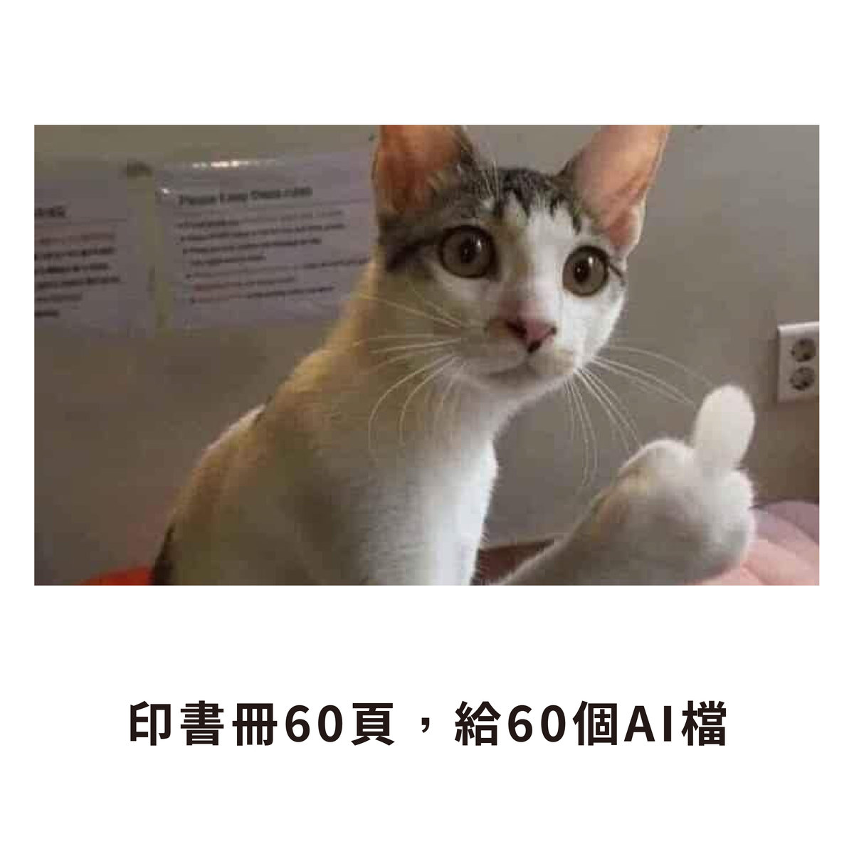 【NG特輯】如何一秒惹怒印前人員?-印書冊60頁,給60個ai檔