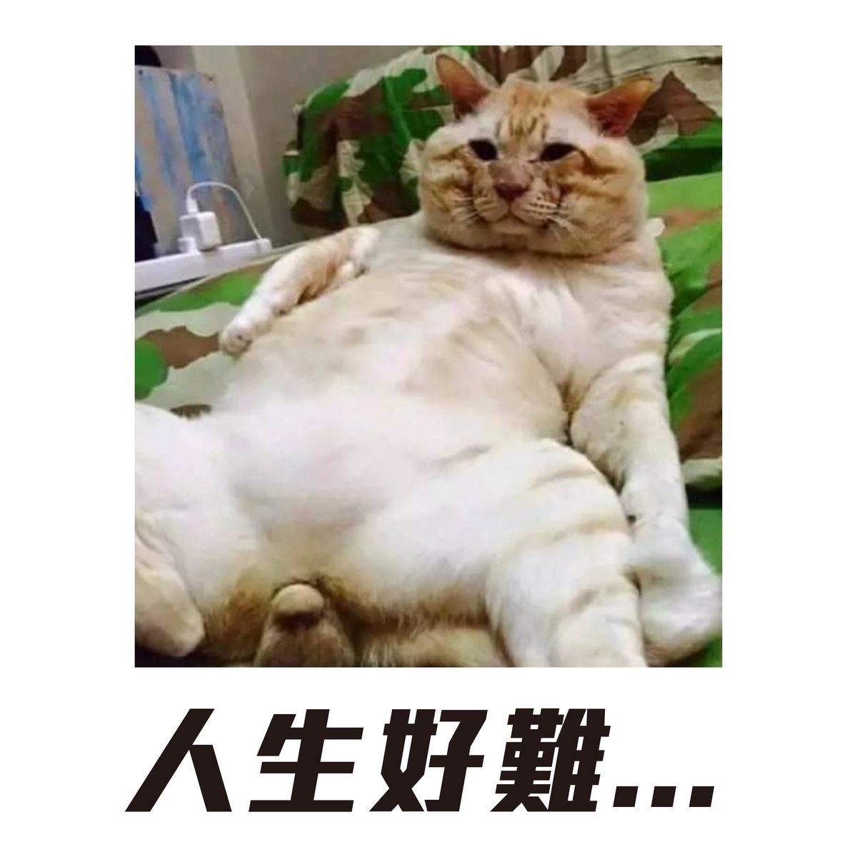 【NG特輯】如何一秒惹怒印前人員?-人生好難