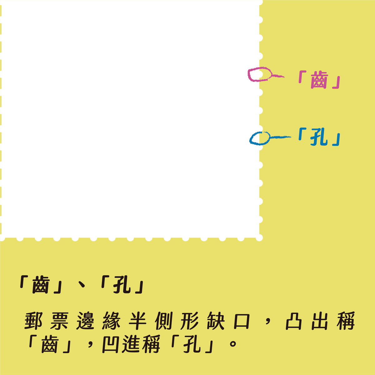 無齒孔&打齒孔是什麼？什麼時候出現？－齒、孔