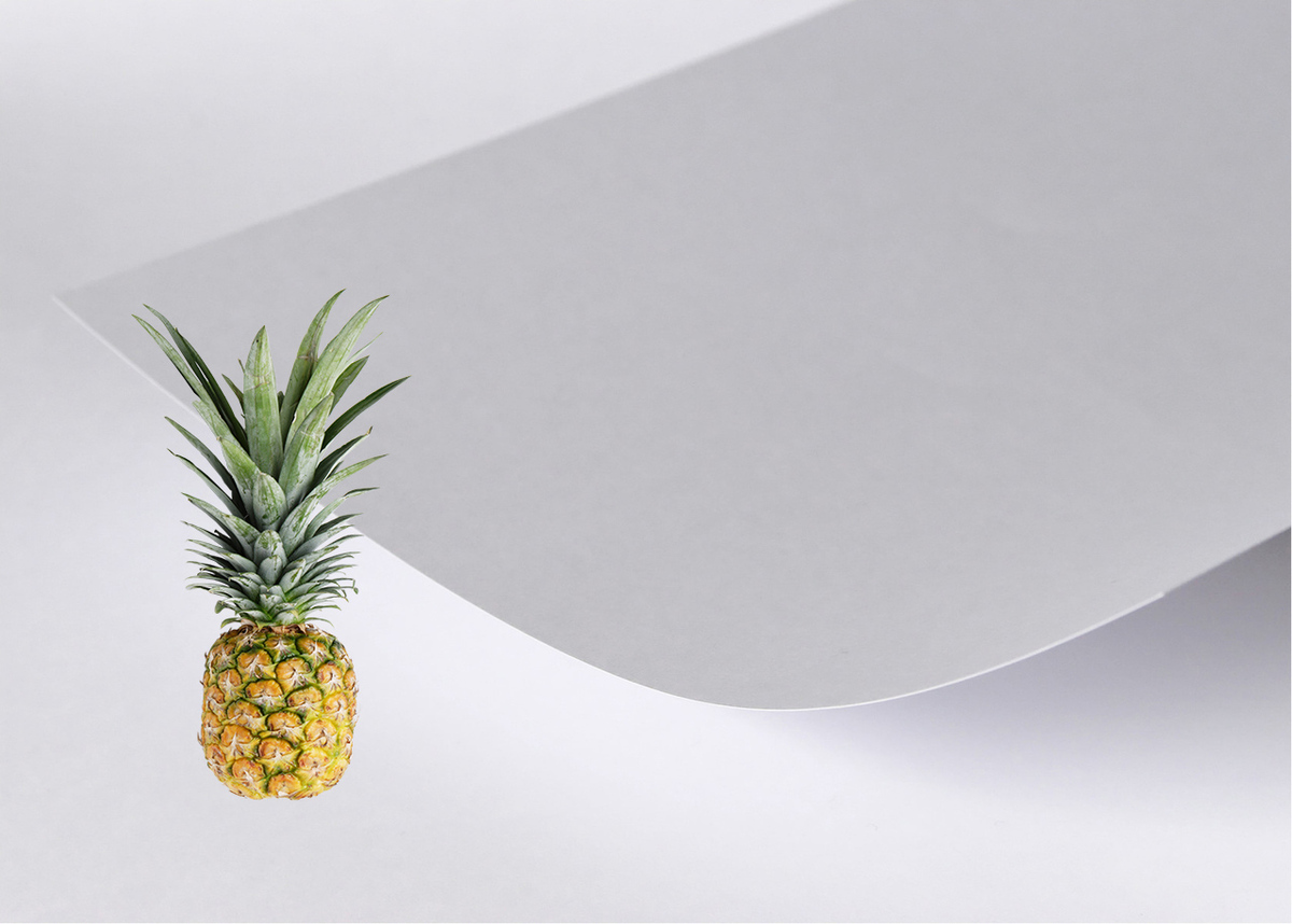 淺談用鳳梨做的紙：鳳仙紙 · 菠蘿紙 · 羅紋宣紙＿示意一