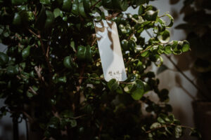 【名片/酷卡/貼紙印刷】美術紙×特別色×凸版印刷｜雙木林 TwinxForest-吊牌1