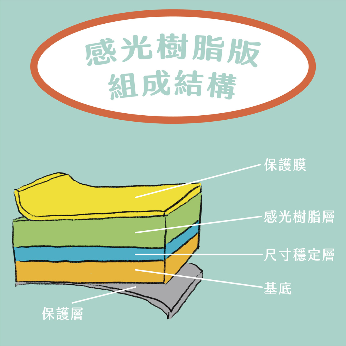 柔版印刷の製版工藝：傳統&數位的差異，整理給你知！－感光樹脂版組成結構