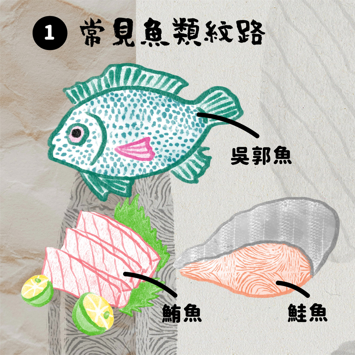 Procreate Brush | 魚紋4款－常見魚類紋路