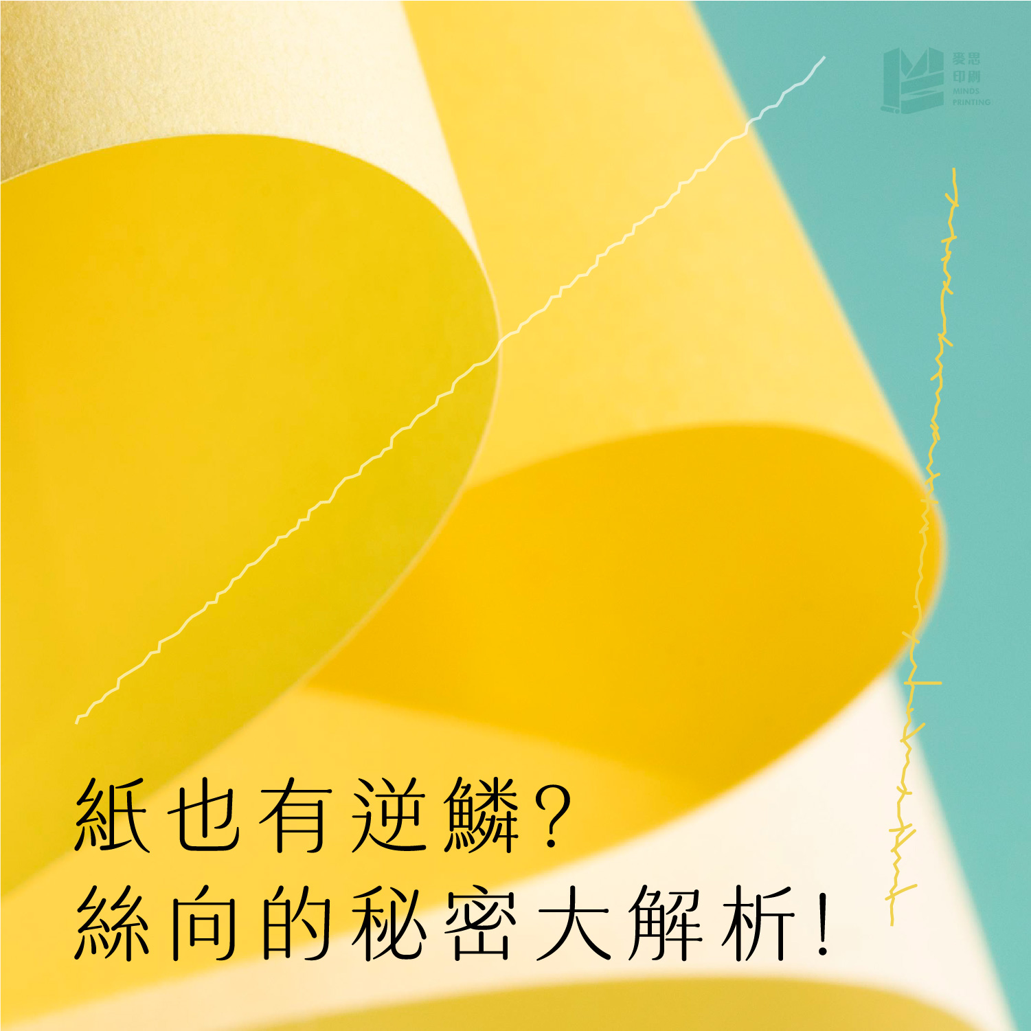 紙也有逆鱗？絲向的秘密大解析
